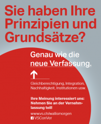 Vernehmlassung zu den Grundsätzen der neuen Verfassung