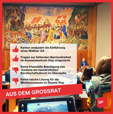 SPO-Bilanz aus der Novembersession
